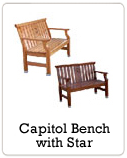 Capitol with Star Bench