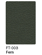 FT-003 Fern