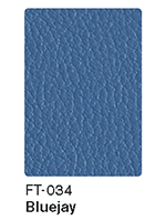 FT-034 Bluejay