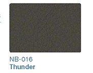 NB-016 Thunder
