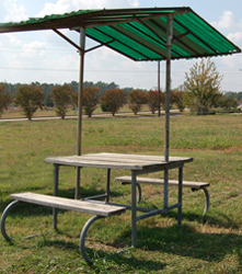 Visitation Table w/ Roof
